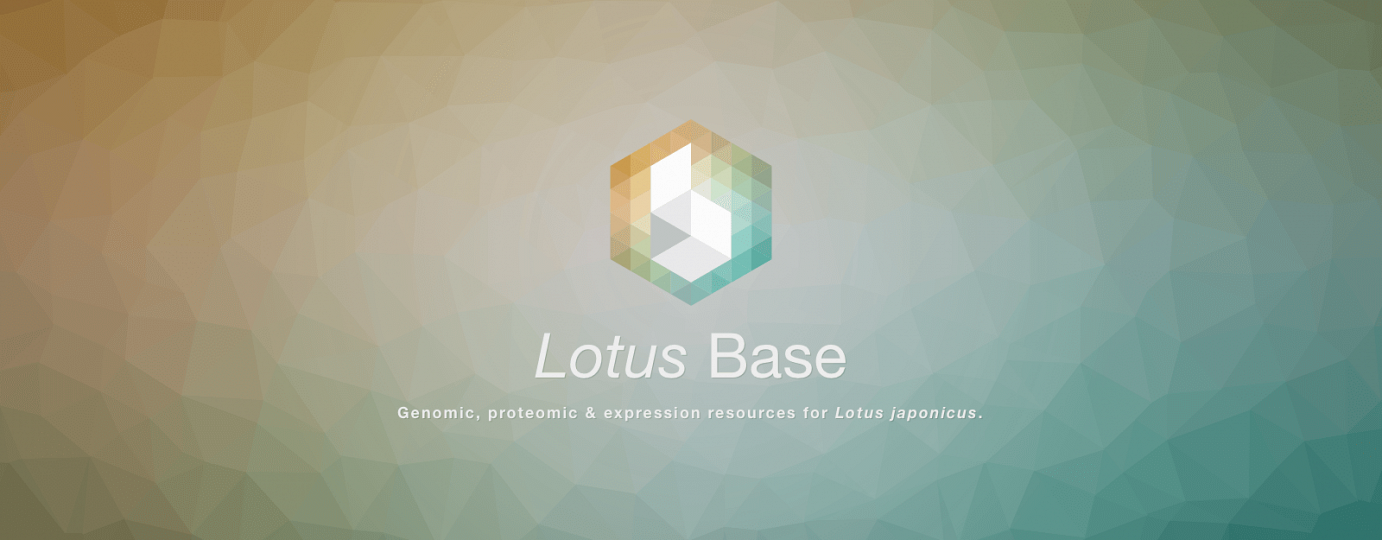 Lotus Base